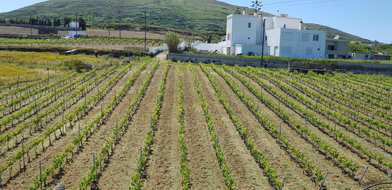 Villa Arokaria Steni Ngoại thất bức ảnh